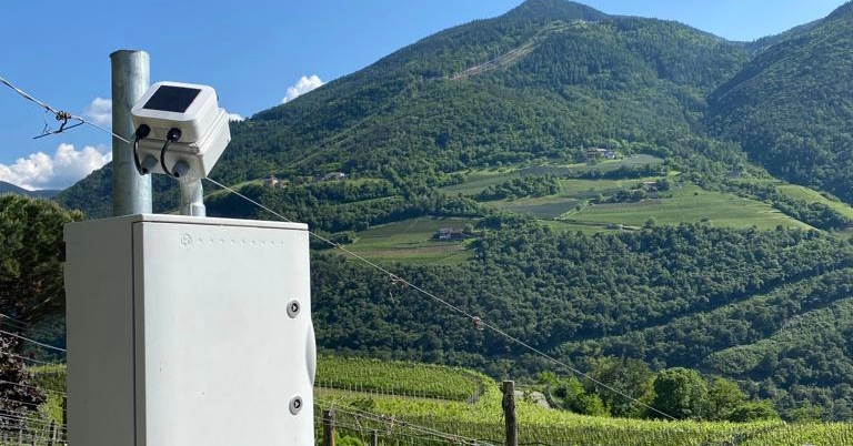 Spherag_automation_Vineyard