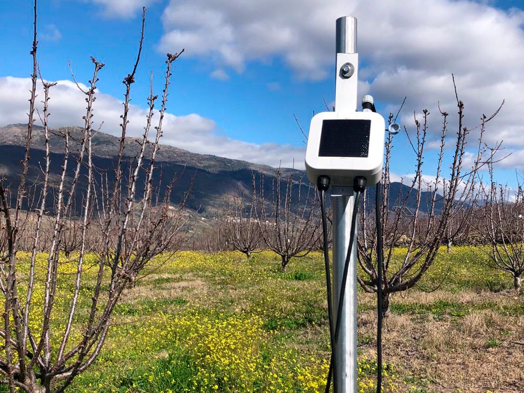 Dispositivo Atlas de Spherag en finca de cerezos en Extremadura