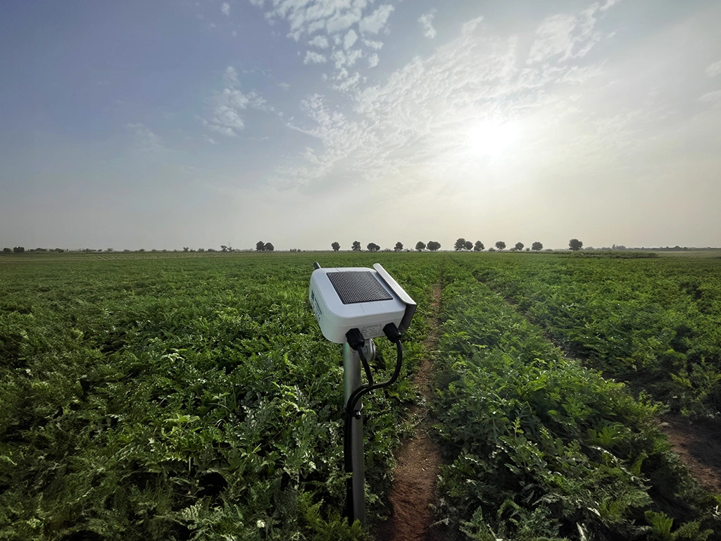 Un dispositivo Atlas instalado en entorno agrícola