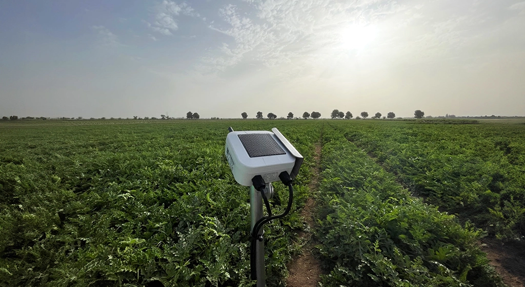 Dispositivo Spherag Interoperable