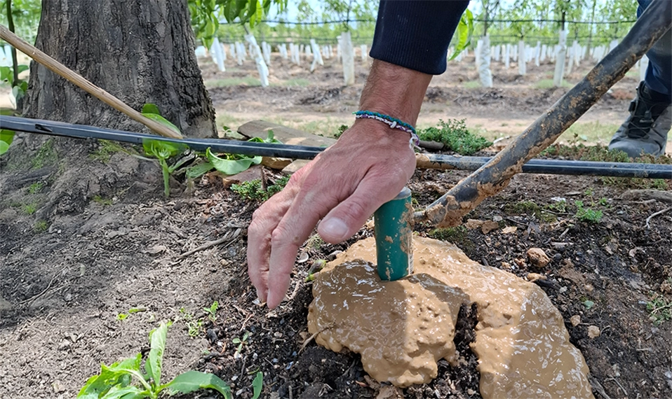 Instalación de sonda de suelo munltinivel para monitorizar el riego