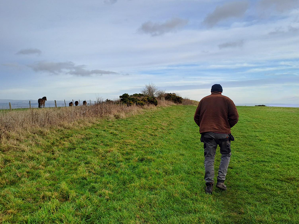 Vista de Church Farm, integrada en Longbridge Estate, en el Parque Nacional de South Downs (Reino Unido), donde se ha digitalizado la gestión del agua para garantizar el suministro al ganado.