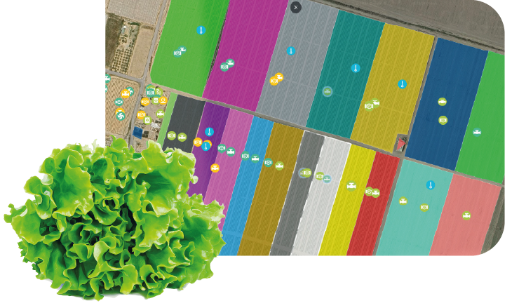 Spherag platform view of a G’s Grupo farm in Murcia, Spain, showing irrigation sectors differentiated by color